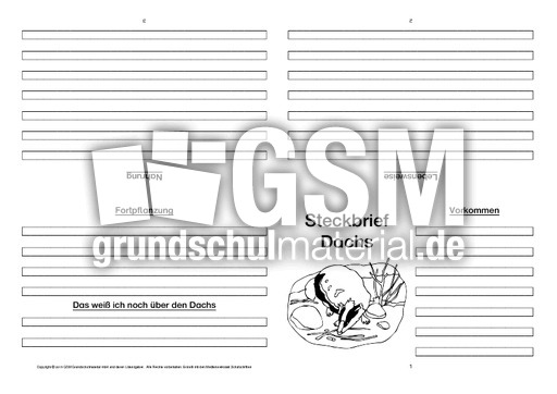 Dachs-Faltbuch-vierseitig-1.pdf